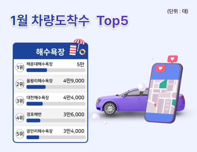 TDI 제공