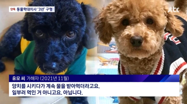 JTBC 보도화면 캡처