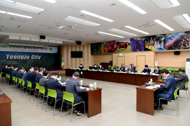 영주시는 27일 오전 영주유통(주) 설립을 위한 최종 용역보고회를 했다. 영주시 제공