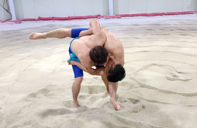 형제 씨름꾼 장호진, 장혁수 씨가 씨름 기술인 돌림배지기를 시연하고 있다. 신중언 기자