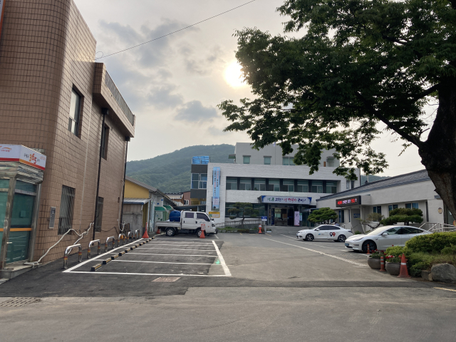 고령군 대가야읍 청사 모습.