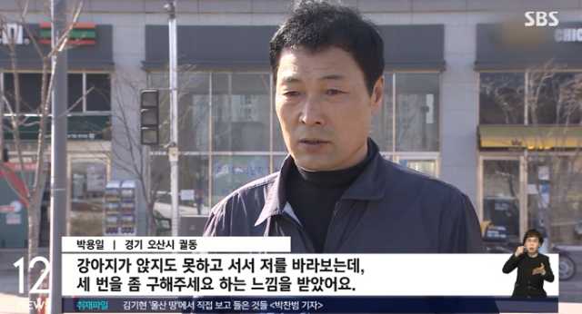 강아지 