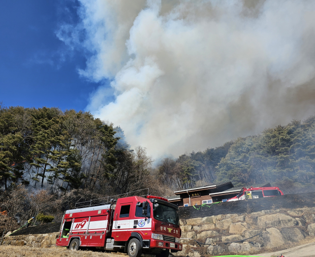 경북 성주 산불 현장 사진. 경북소방본부