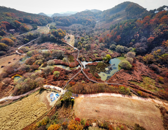 문경 돌리네습지 전경.