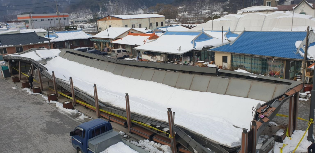 폭설로 붕괴된 울진 매화시장. 울진군 제공