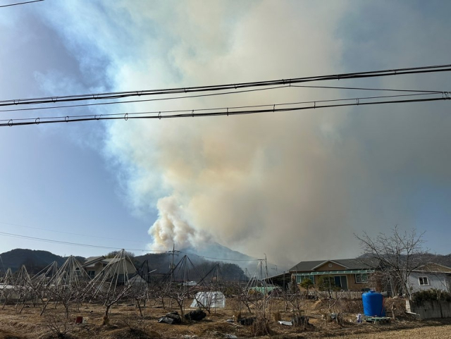 김천시 개령면 동부리 야산 화재 모습, 독자제공