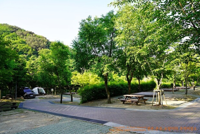 팔공산자연공원에 있는 야영장이 오는 1일부터 문을 연다. 팔공산자연공원관리사무소 제공
