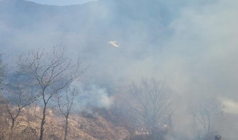 3일 오후 1시8분쯤 영천시 화북면 정각리 보현산 자락에서 발생한 산불 현장. 경북소방본부 제공
