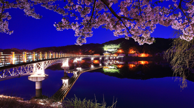 경상북도