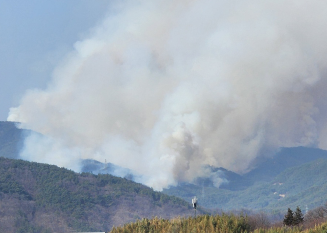 경남 합천군 용주면 월평리 일원에 산불이 발행하자 산림청 헬기와 인력 등을 동원해 진화하고 있습니다