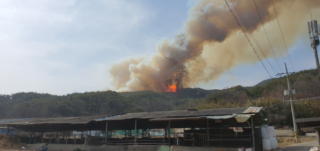 8일 합천군 용주면 야산에 산불이 발생했다. 합천군 제공