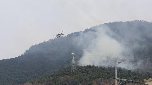 11일 오후 2시 35분쯤 대구 도심과 인접한 앞산에서 불이 발생했다. 독자 제공