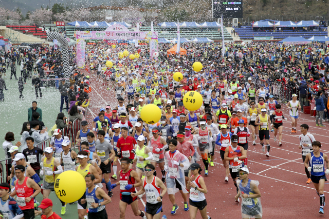 지난 2019년 합천 벚꽃마라톤 대회 모습. 합천군 제공