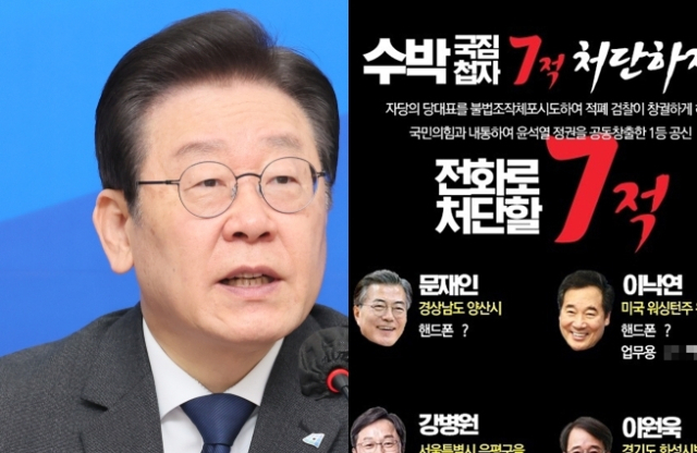 이재명 더불어민주당 대표, 
