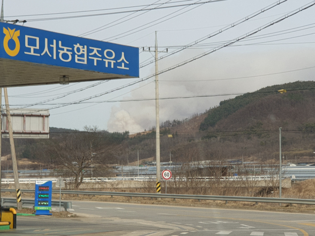 상주시 외남면 곶감공원 뒤편 야산 산불장면. 독자 제공