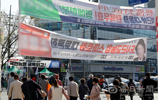 대구 주요 도로 곳곳에 정당 현수막이 무분별하게 걸려있다. 매일신문DB
