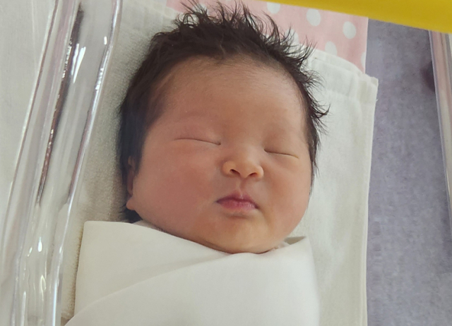 이화정아가