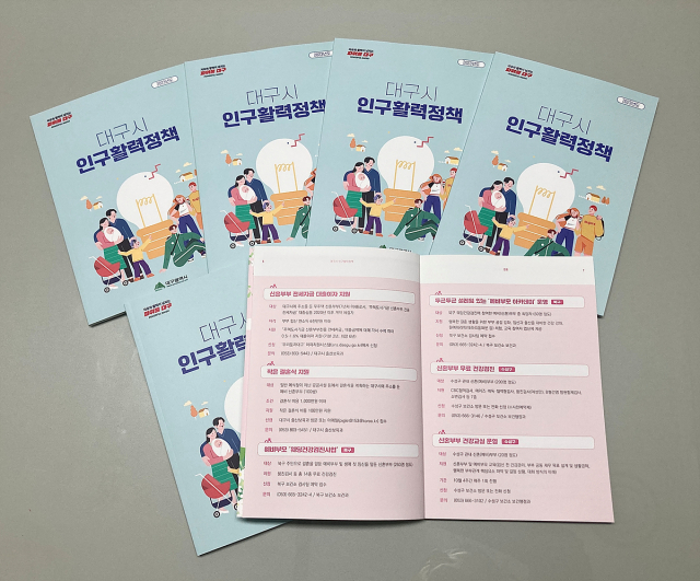 인구활력정책 안내서는 대구시와 각 구·군에서 추진 중인 인구 활력 정책 87개를 담고 있다. 대구시 제공.