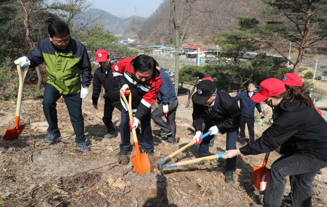 안동시는 29일 제78회 식목일을 맞아 나무심기 행사를 가졌다. 안동시 제공