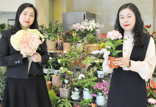 대구 롯데백화점과 대구화훼협동조합이 31일부터 내달 12일까지 상인점과 대구점에서 생화와 동서양 난, 조경수, 관엽식물 등을 선보이는 