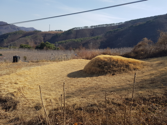 지난 13일 경찰이 경북 봉화군의 이재명 더불어민주당 대표 부모 분묘에 대한 발굴 사건 수사를 시작했다. 경북경찰청 제공