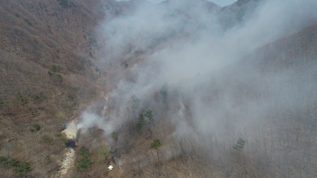 2일 오전 포항시 북구 송라면 한 야산에서 발생한 산불을 소방대원 등이 진화하고 있다. 포항북부소방서 제공.