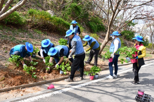 포스코 공공시설가꾸기봉사단은 1일 포항 환호공원을 찾아 수국 200주를 심으며 특별한 봉사활동 시간을 가졌다. 포스코 제공