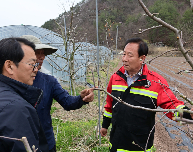 민생 현장 방문에 나선 박현국 봉화군수가 사과재배 농민들을 만나 애로사항을 청취하고 있다. 봉화군 제공
