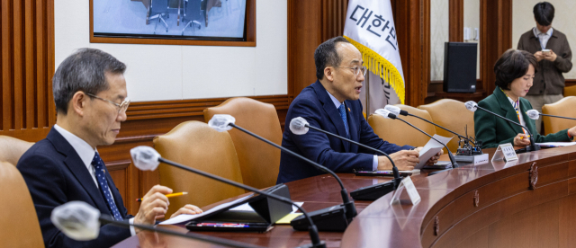 추경호 경제부총리 겸 기획재정부 장관이 6일 오전 서울 종로구 정부서울청사에서 열린 비상 경제장관회의 겸 수출 투자대책 회의에 참석해 발언하고 있다. 연합뉴스