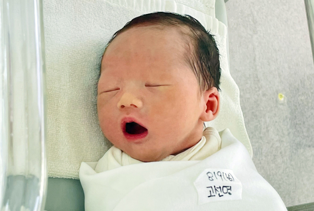 고선영아가