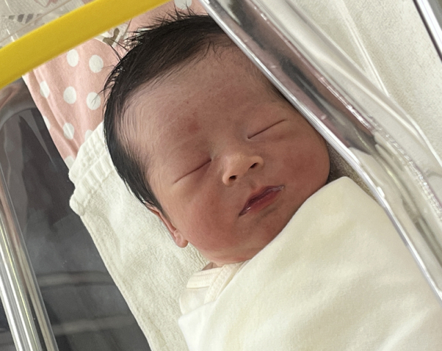 이유지아가