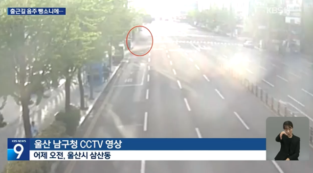 지난 4월 17일 아침 출근길에 횡단보도를 건너던 20대 여성이 음주운전 뺑소니 사고를 당했다. KBS 보도화면 캡처