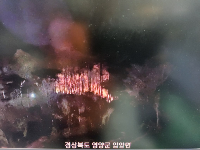 23일 오후 7시 21분쯤 영양군 입암면 한 야산에서 발생한 산불 모습. 경북소방본부 제공