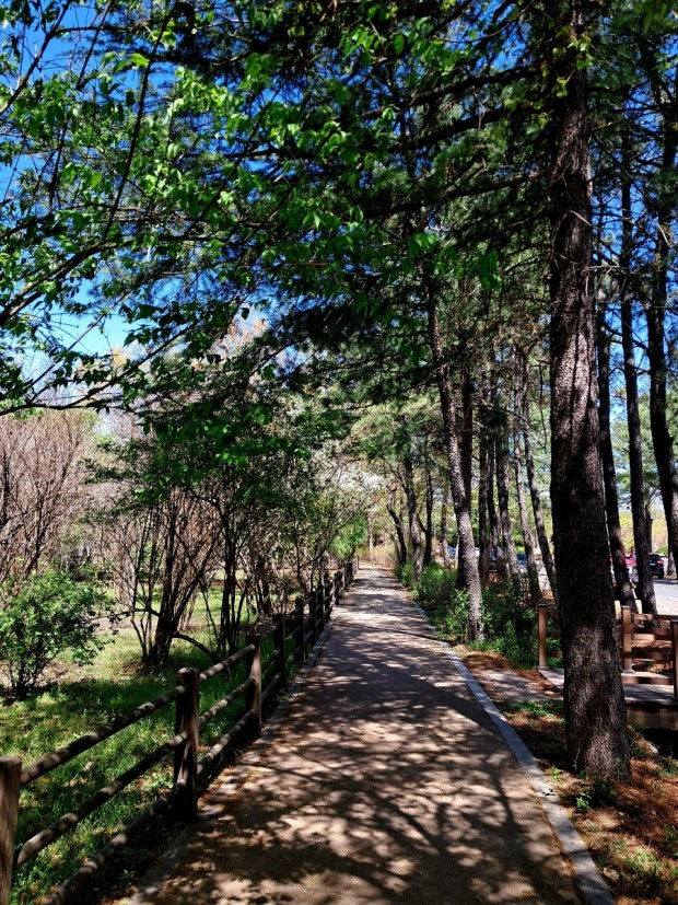 경북천년숲정원