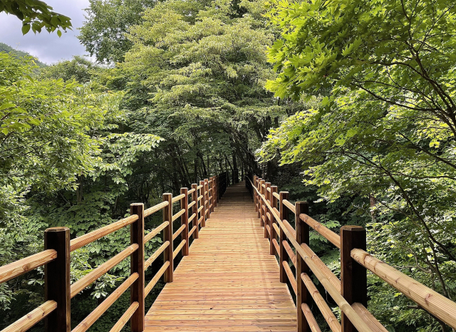 국립운문산자연휴양림 데크로드.