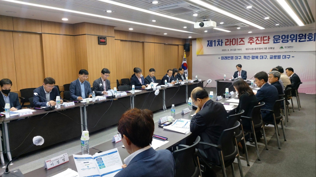 대구시는 28일 시 관계자 및 지역 대학, 기업 관계자들이 참여하는 