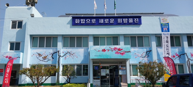 매화면사무소 벽에 매화꽃이 활짝 피었다. 울진군 제공