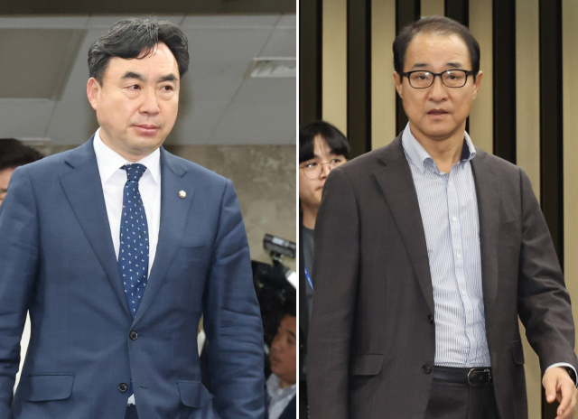 더불어민주당 