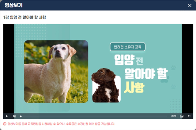 대구시가 올해부터 유기동물 입양 전 교육을 이수한 사람에 한해 입양비를 지원한다. 사진은 