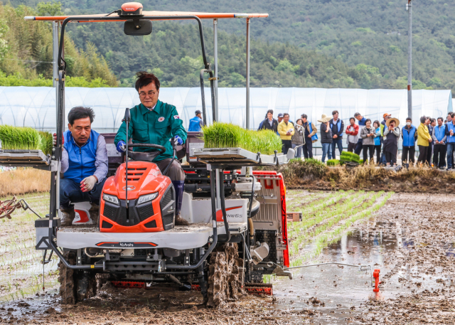 김하수(오른쪽 줄 두 번째) 청도군수와 김효태 청도군의회 의장, 김진성 농협 청도군지부장 등이 각남면 예리에서 마늘종 솎아내기 작업을 벌이고 있다. 청도군 제공