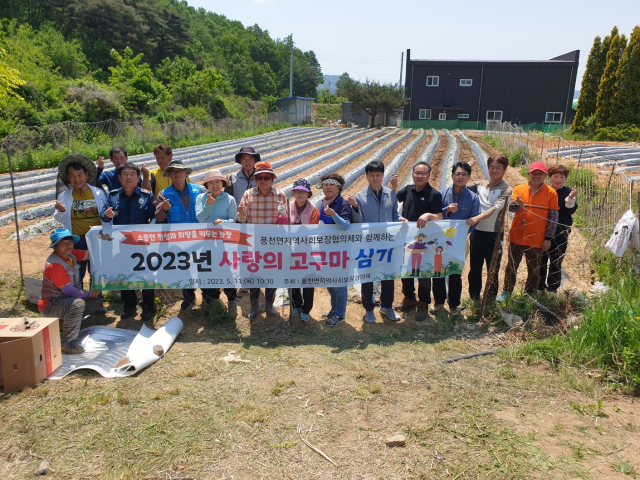지난 11일 경북 안동시 풍천면 농민들로 구성된 풍천면지역사회보장협의체 회원들이 지역 내 어려운 이웃을 돕기 위해 추진하고 있는 사랑의 고구마 심기를 한 후 기념 촬영을 하고 있다. 김영진 기자