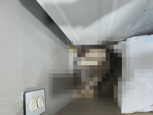 화장실 하수 관로에 오물이 역류해 아수라장이다. 독자 제공
