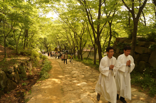 '2023 한티가는 길' 걷기 행사에 참가한 참가자들이 한티마을사람으로 들어가는 길을 걷고 있다. 전병용 기자