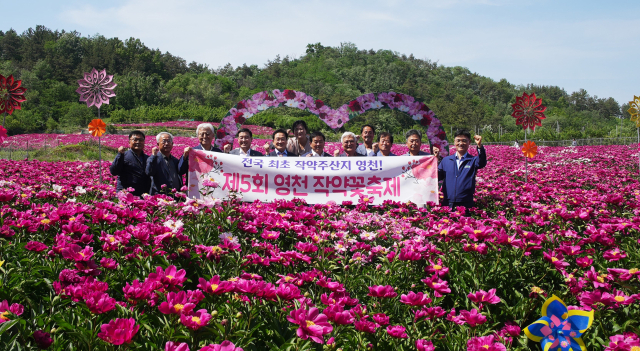 제5회 작약꽃 축제가 열리고 있는 영천시 화남면 일원 작약밭 모습. 영천시 제공