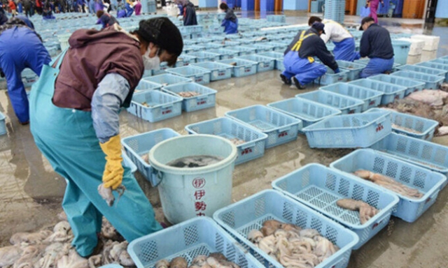 일본 후쿠시마현의 한 어항(漁港)에 수산물이 놓여 있는 모습. 연합뉴스