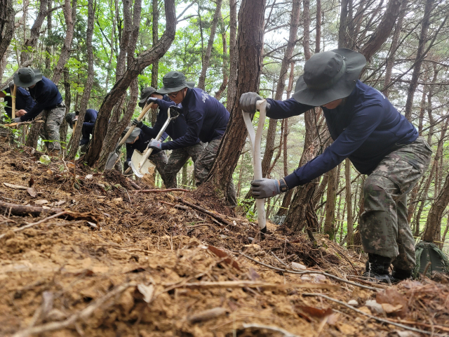 경북 군위군 효령면 장기리 365고지에서 장병들이 유해 발굴에 나서고 있다. 이들은 가로로 줄지어 늘어선 뒤 삽을 들고 땅을 파내며, 유해나 유품의 흔적을 찾았다. 박성현 기자