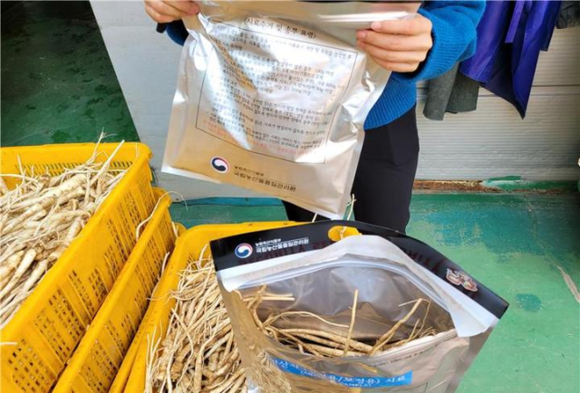 도라지 원산지 검정용 시료 채취 장면. 국립농산물품질관리원 경북지원 제공