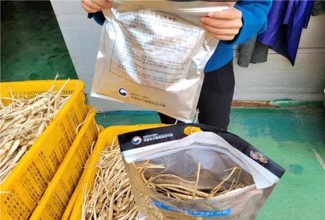 도라지 원산지 검정용 시료 채취 장면. 국립농산물품질관리원 경북지원 제공