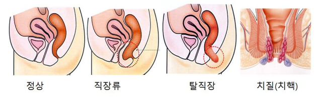 구병원 제공