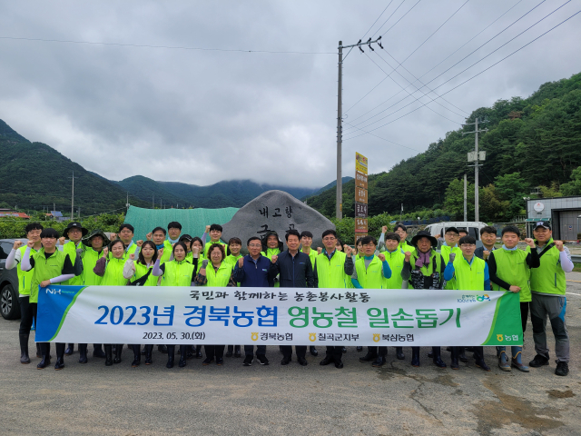 경북농협(본부장 윤성훈)과 북삼농협(조합장 김영규)은 30일 칠곡군 북삼읍 일대 감 농가에서 농촌일손돕기를 실시했다. 경북농협 제공
